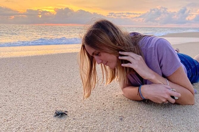 Los Cabos turtle release conservation program - A four-hour outing can include much more driving