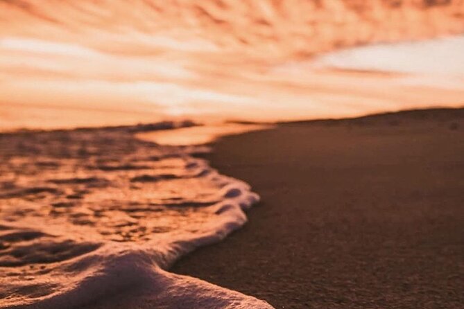 Los Cabos turtle release conservation program - What the $85 price gets you