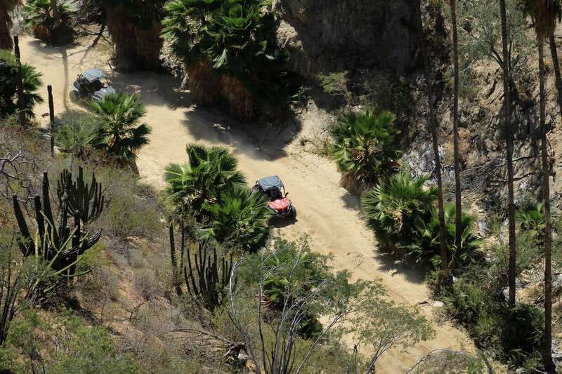 Los Cabos: Ultimate UTVs Adventure, Cross the Wooden Bridge - Should you book the wooden bridge UTV tour?
