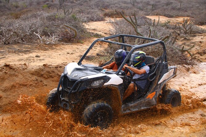 Los Cabos UTV Outdoor Experience to the Hidden Arch - Key points to know before booking
