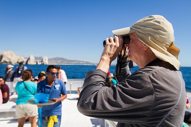 Los Cabos Whale Watching Cruise Including Breakfast - Why the large catamaran can be a smart choice