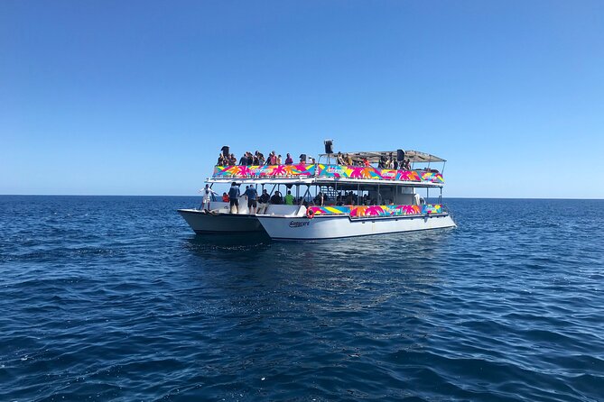 Los Cabos Whale Watching Cruise Including Breakfast - Booking, cancellations, and practical details