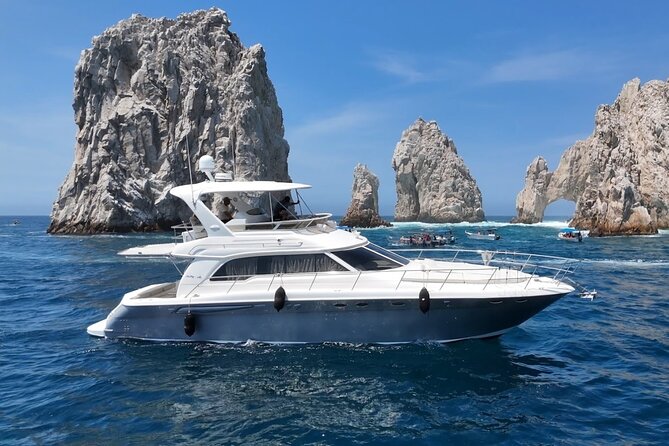 Los Cabos Whale Watching & Snorkel Adventure with Food & Drinks - Ceviche, Fajitas, and Drinks on Board