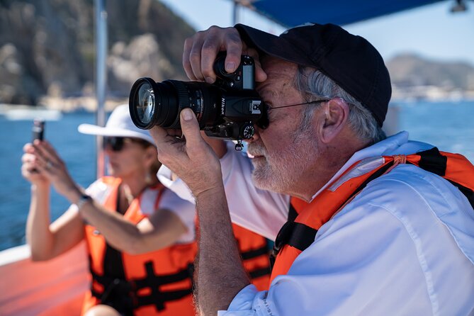 Los Cabos Whale Watching (Transportation and Pictures Included) - Starting at the marina with a small group
