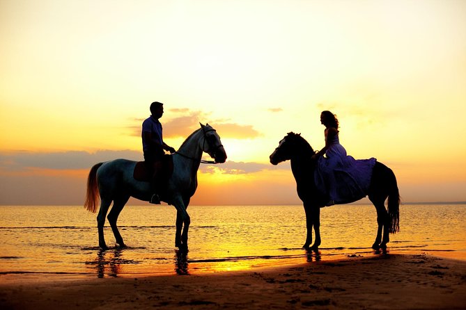 Love is in the air: Private Cabo Beach Sunset Horse Ride W Dinner - Key points at a glance