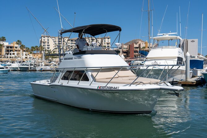 Luxury Private Yacht Charter in Cabo San Lucas Mexico - Who will enjoy this Cabo charter most?