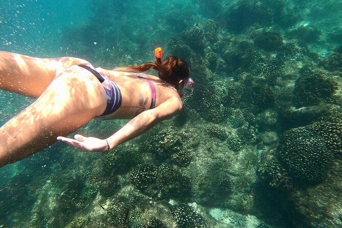 Luxury Snorkel Adventure in Cabo - A small Cabo catamaran with a big-name view