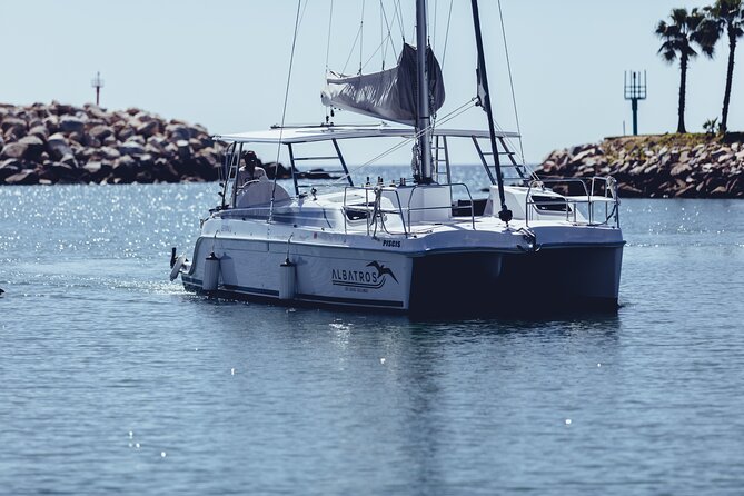 Luxury Snorkel Adventure in Cabo - What the service feels like on board