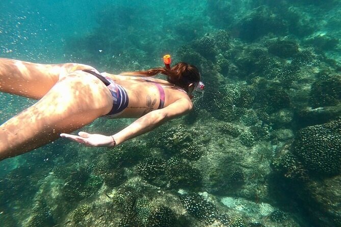Luxury Snorkeling Tour in Cabo San Lucas - Snorkeling near Chileno Bay