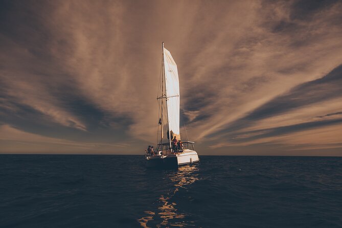 Luxury Whale Watch Cruise to The Arch Los Cabos - A small catamaran with a front-row feel