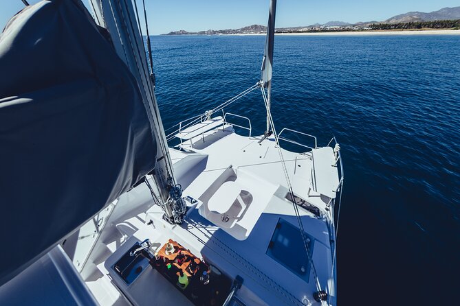 Luxury Whale Watch Cruise to The Arch Los Cabos - Whale watching from December 15 through April 15