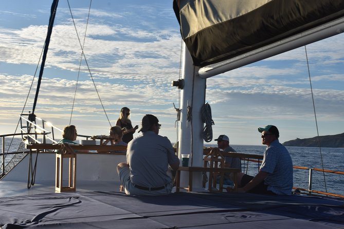 Luxury Yacht Snorkeling & Lunch Cruise from Cabo San Lucas - Weather, comfort, and useful planning tips