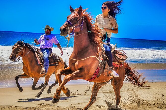 Migriño Beach Horseback Riding Experience - Riding from Cabo to the open shore