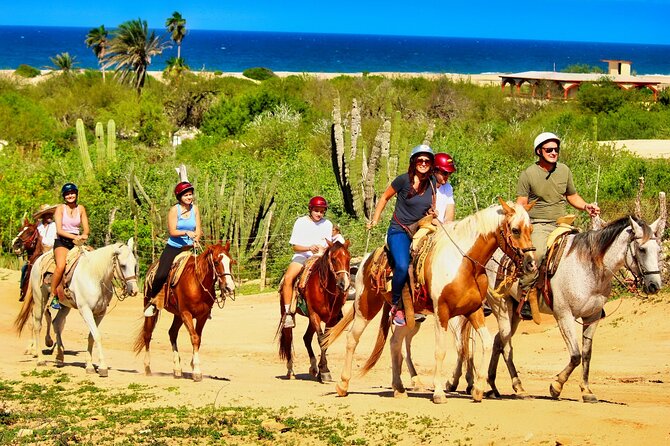 Migriño Beach Horseback Riding Experience - The approach to Playa Migriño