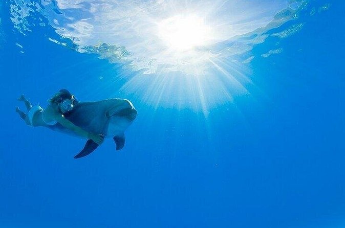 Must-DO The only and Unique Natural Space Dolphin Encounter Cabo - Who Should Book This Experience?