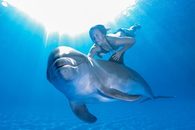 Must-DO The only and Unique Natural Space Dolphin Encounter Cabo - Transportation From Cabo Hotels