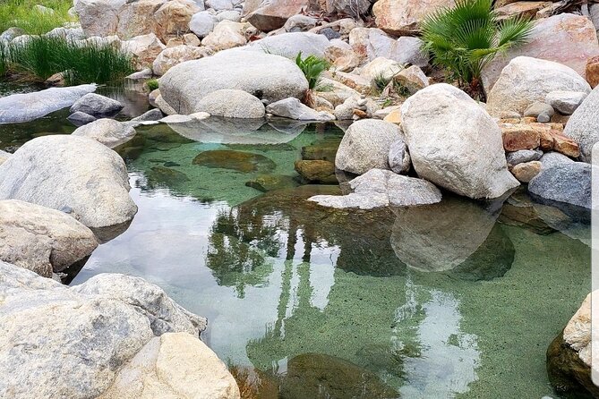Natural Hot Springs Experience - Price, private transport, and overall value