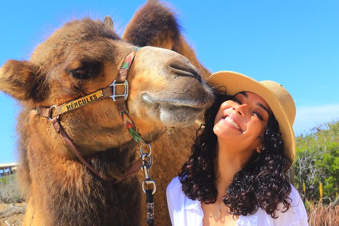 NEW! Combo Camel Beach Ride and UTV 4X4 Cabo Adventure, Tequila & - What the views are really worth