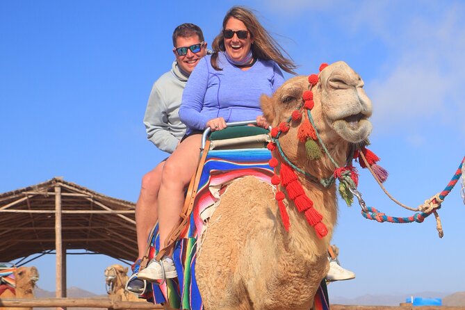NEW! Combo Camel Beach Ride and UTV 4X4 Cabo Adventure, Tequila & - The real price of a $118 booking