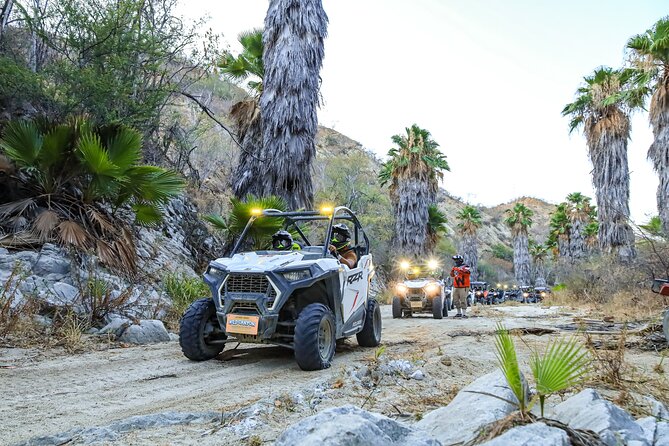 Night Ziplines & UTV Adventure + Mexican Parrillada - Is $169 a fair price?
