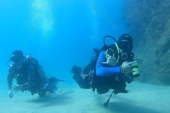 Non-Certified Diving Adventure in Cabo San Lucas - Key points at a glance