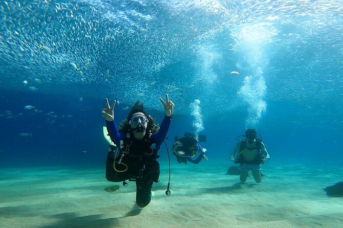 Non-Certified Diving Adventure in Cabo San Lucas - Marine life you may see below the surface