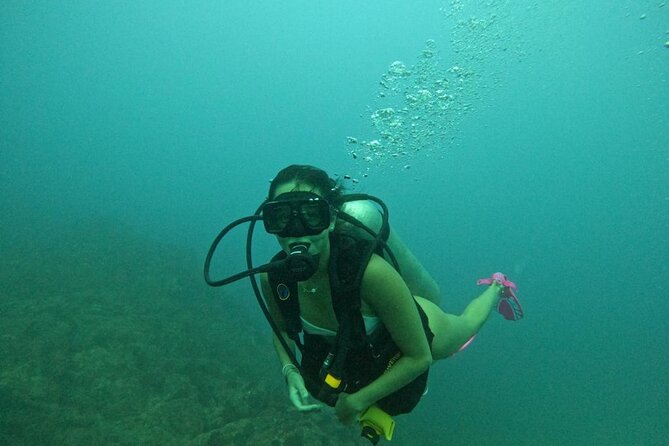Non-Certified Diving Adventure in Cabo San Lucas - El Arco and the Cabo bay finale