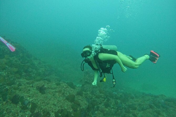 Non-Certified Diving Adventure in Cabo San Lucas - A closer look at the morning schedule