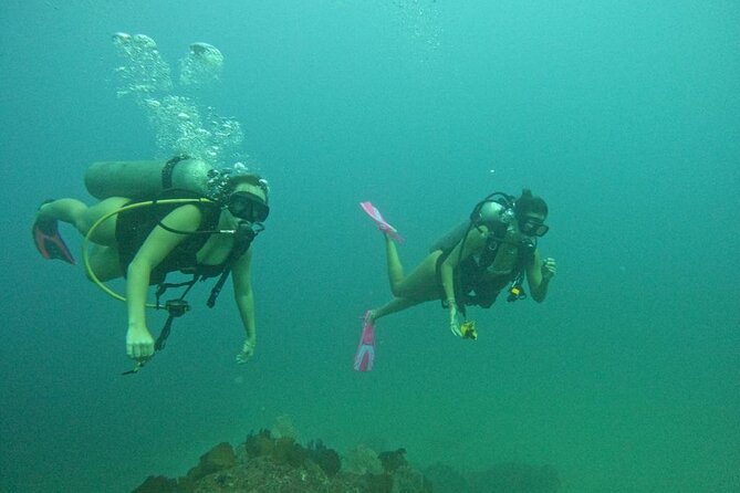 Non-Certified Diving Adventure in Cabo San Lucas - Is the small-group format worth it?