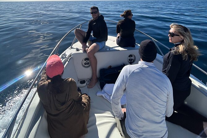 Ocean Safari in San Jose del Cabo - Snorkeling when the sea gives you a safe window