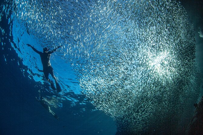 Ocean Safari Tour in Cabo San Lucas - Snorkeling and entering the water