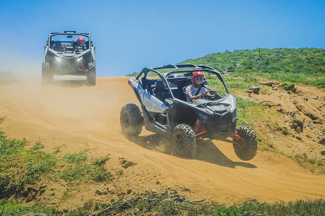 Off-Road Cabo Adventure: Desert & Beach Ride Plus Tequila Tasting - Who will enjoy this outing most