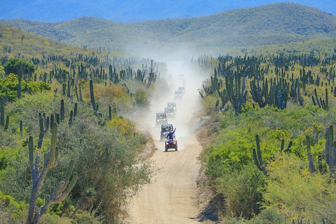 OffRoad 4X4 UTV Adventure with unlimited Lunch & Tequila - A Baja off-road ride with a satisfying finish