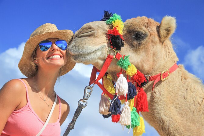 Outback Camel Ride - Key points to know before you book