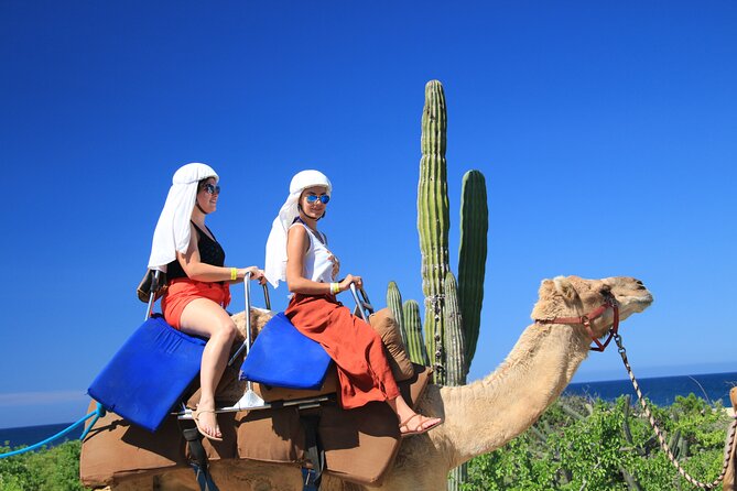 Outback Camel Ride - Riding a camel through Cabo’s Baja desert