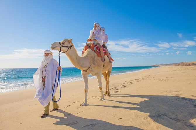 Outback Camel Ride - Tequila, mezcal, cacao, and ranch culture