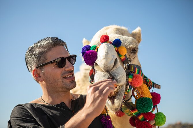 Outback Camel Ride - The timing can shape your whole Cabo day