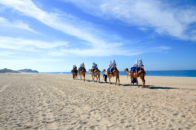 Outback Camel Ride - The extra fees deserve attention