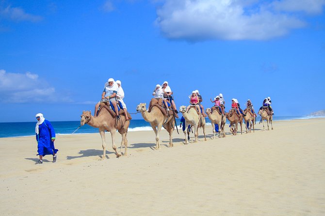 Outback Camel Ride - Who will enjoy this Cabo outing most