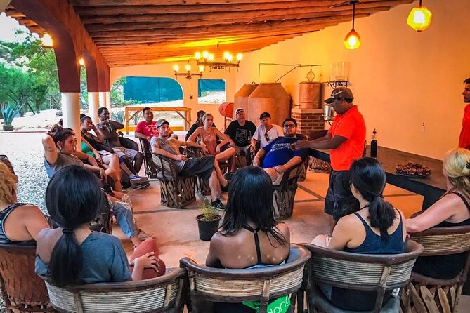 Outdoor and Zipline Adventure in Baja California - Who Will Enjoy This Most