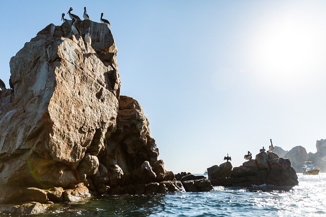 Paddleboard Expedition to the Arch of Cabo San Lucas, Lovers Beach & Snorkel - Snorkeling at Pelican Rock