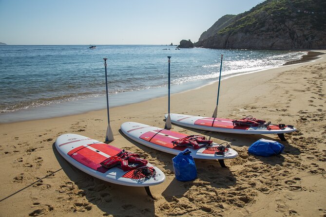 Paddleboard Expedition to the Arch of Cabo San Lucas, Lovers Beach & Snorkel - What the $90 price includes
