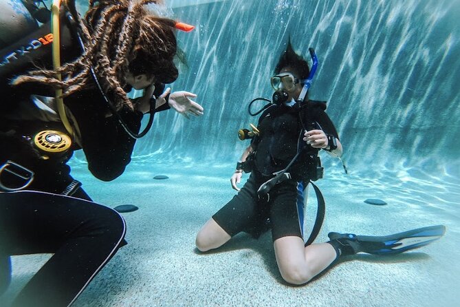 PADI Open Water Course in Cabo San Lucas - Start with six to ten hours of PADI eLearning