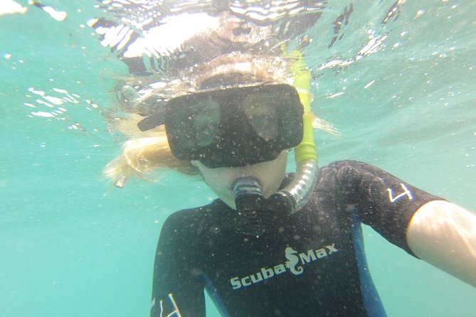 Pelican Rock Snorkeling and Sightseeing Adventure - How the $57 price holds up