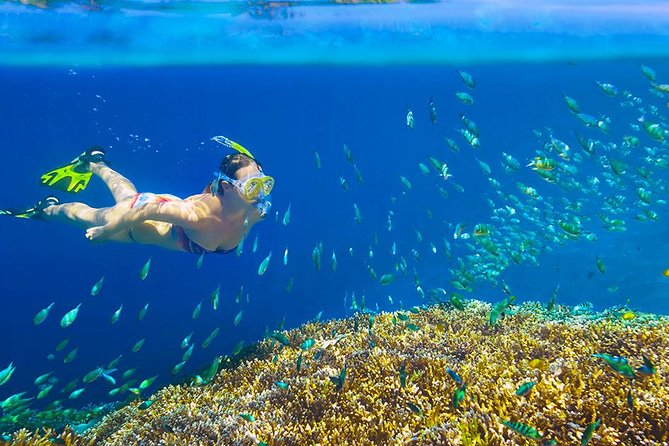 Private 3-Hour Snorkeling Tour with Arch Tour and Beach Time - The glass-bottom boat is useful, with limits