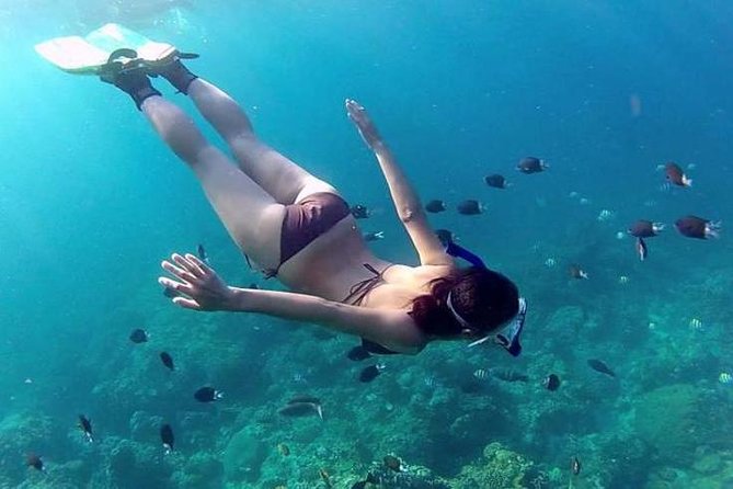 Private 3-Hour Snorkeling Tour with Arch Tour and Beach Time - What the $100 price really covers