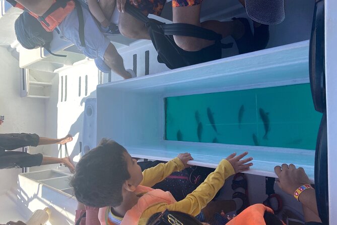 Private 3-Hour Snorkeling Tour with Arch Tour and Beach Time - Weather, safety, and cancellation rules