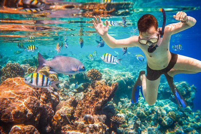 Private 3-Hour Snorkeling Tour with Arch Tour and Beach Time - My practical verdict on Cabo Paradise Tours