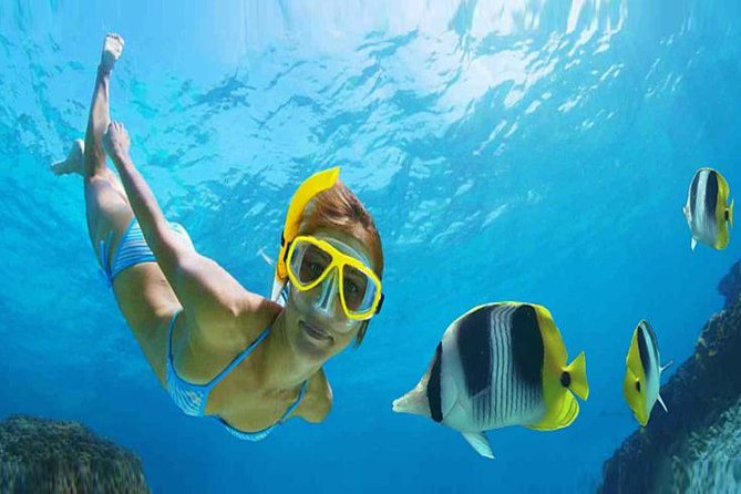 Private 3-Hour Snorkeling Tour with Arch Tour and Beach Time - Snorkeling at Pelican Rock and the beach stops
