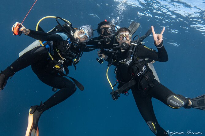 Private Beginner Scuba Diving Experience in Cabo San Lucas - Why the shared boat format can be good value